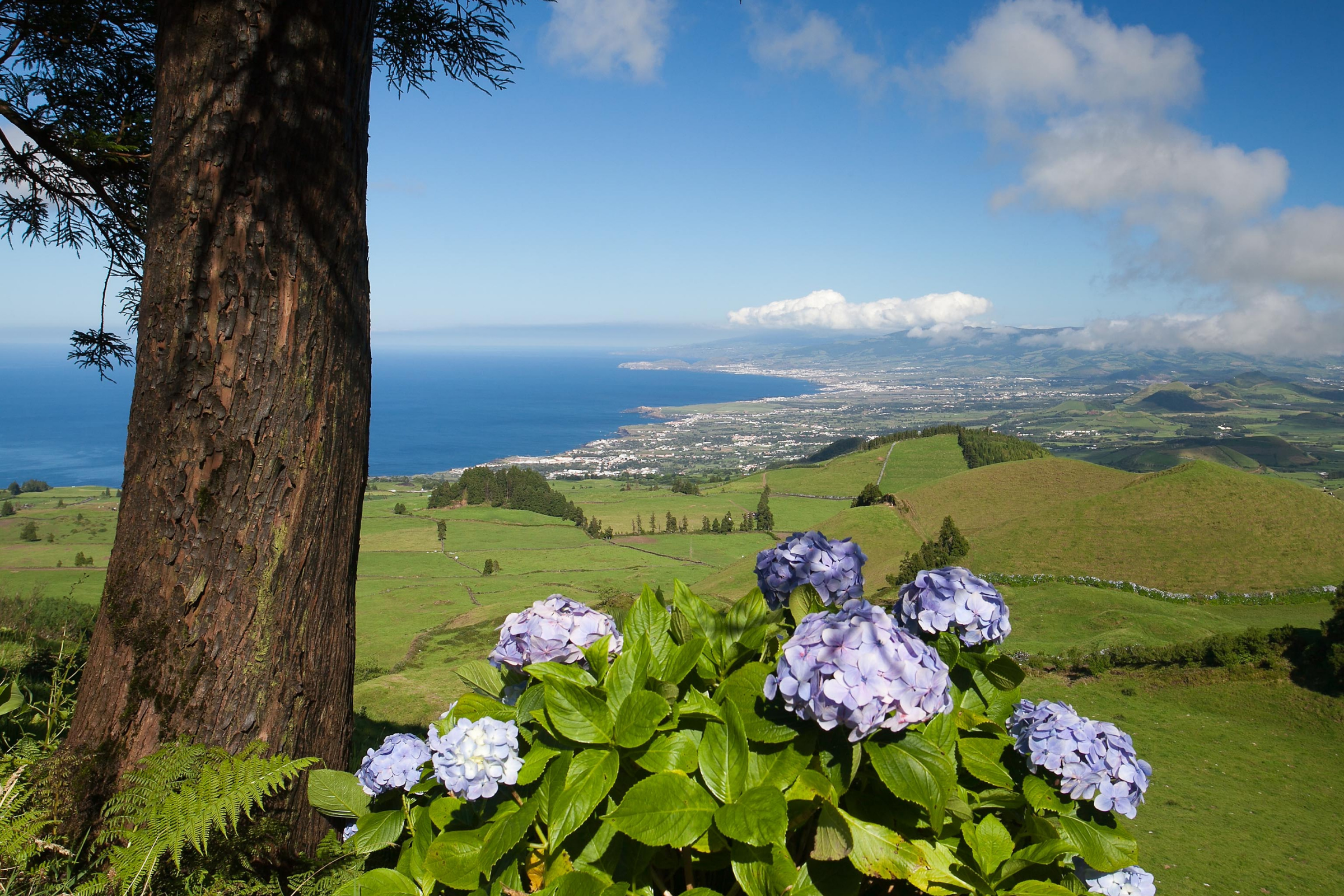 são miguel_04.webp